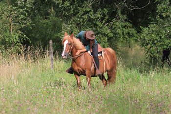 Criollo horse Bonita with Katie