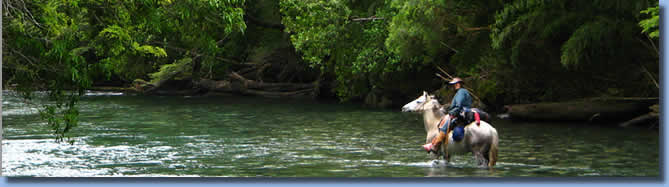 Rider in river on a horseback trail ride in NP Huequehue, Chile