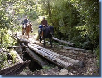 Riders crossing a bridge on a full day ride in Pucon, Chile